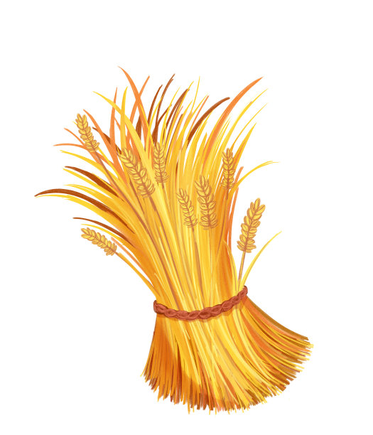 手绘农作物丰收一捆成熟的小麦插画图片下载