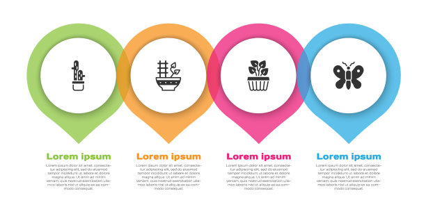 在盆栽植物中种植仙人掌，室内种植常春藤图片下载