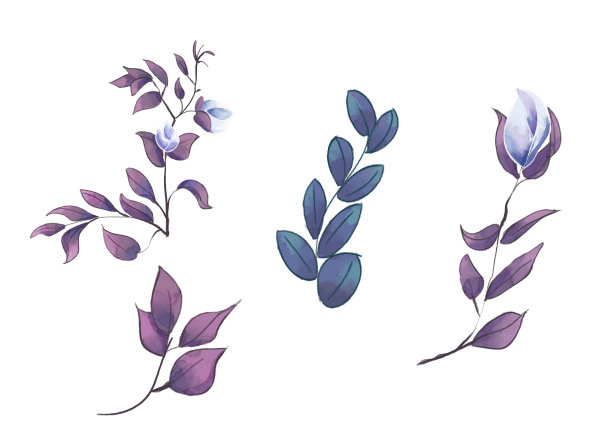 手绘卡通水彩植物叶子插画图片下载