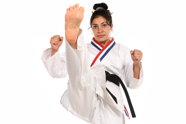 武术等级图片下载