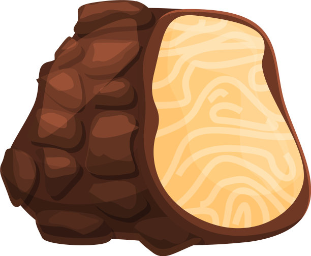 烹饪松露图标卡通菌类图片下载