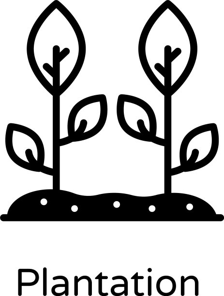 种植园图片下载