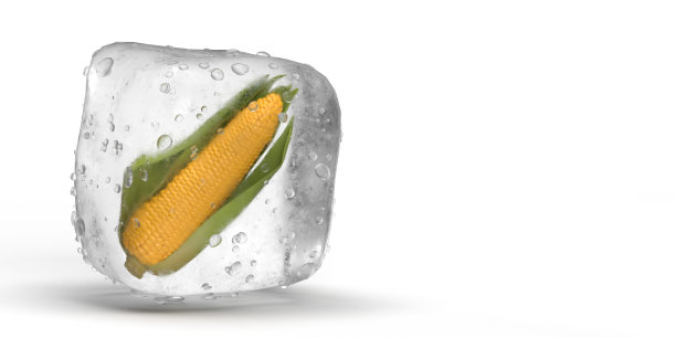 黄色甜玉米速冻食品内装冰块，表面呈白色图片下载
