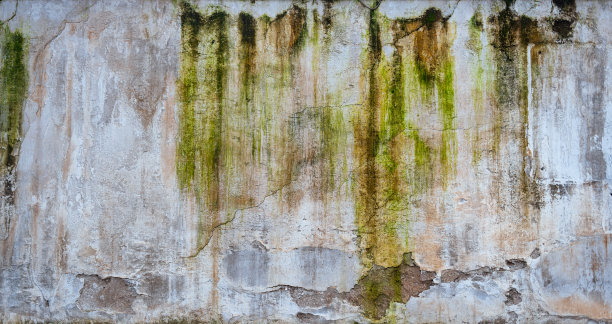 破碎院墙的肌理图片下载