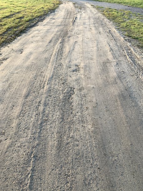 晨光中的土路图片下载