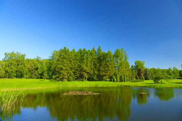夏季景观与水图片下载