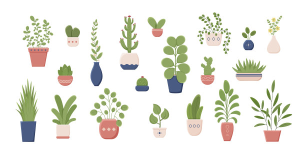 将室内植物置于花盆中图片下载