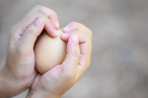 在农场模糊的背景中，亚洲妇女的手握着一对鸡蛋图片下载
