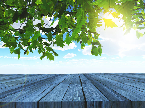 3D树木和木桌望向蓝天图片下载