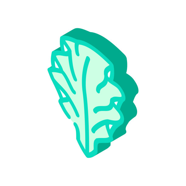 乌尔瓦莴苣海藻等距图标矢量插图图片下载