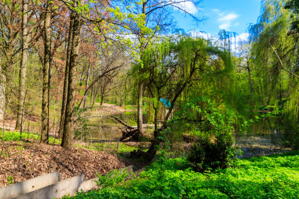 乌克兰哈尔科夫地区的克拉斯诺库茨克公园图片下载