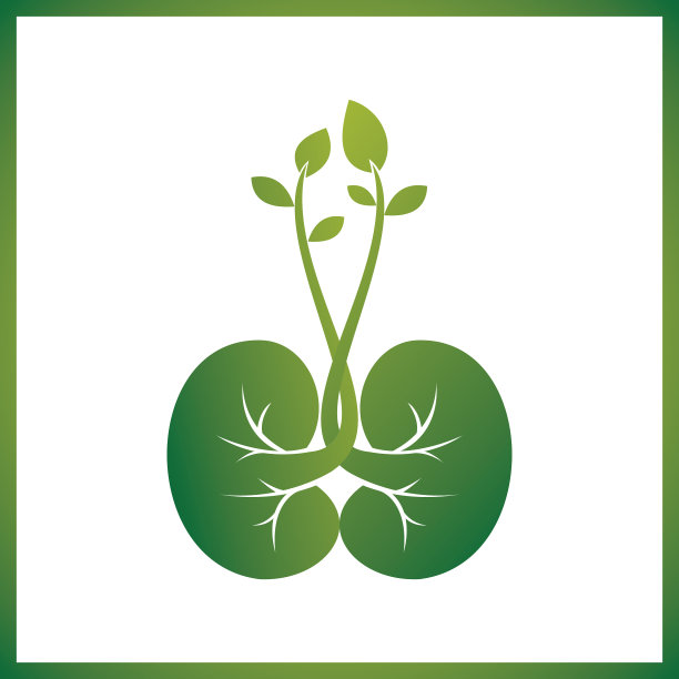 小绿叶的绿色幼苗在地上图片下载