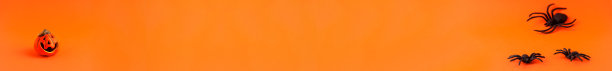 关闭横幅装饰橙色小微笑万圣节南瓜和黑色恐怖蜘蛛在橙色的左右模糊的背景和复制空间。假日秋季概念背景图片下载