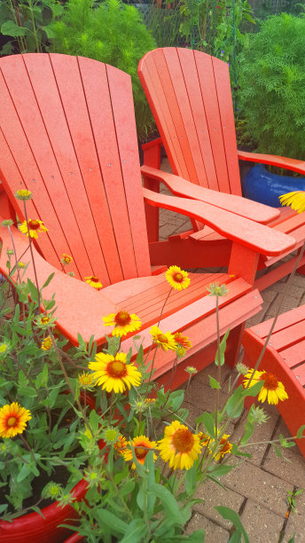 欢迎来到花园和红色阿迪朗达克椅子图片下载