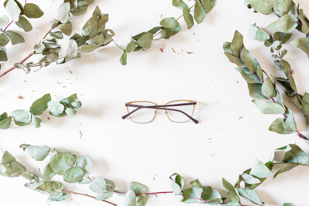 桉树框架图片下载