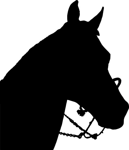 马头与缰绳的轮廓图片下载