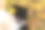 秋天公园里带着笔记本电脑的美女。美丽的自然景色与多彩的树叶背景，黄色的树木和树叶在秋天。秋季户外生活方式。落叶上快乐微笑的女人图片下载