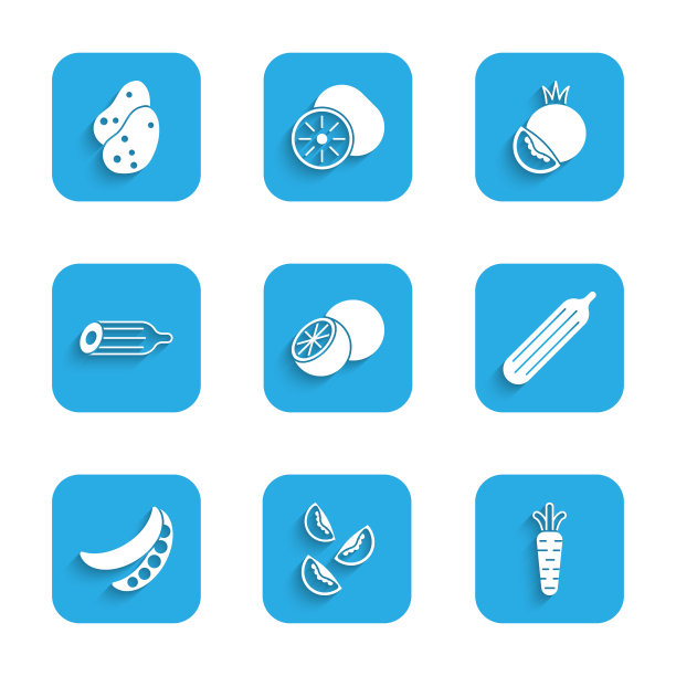 设置橘子水果，西红柿，胡萝卜，新鲜黄瓜，青豆，土豆图标。向量图片下载