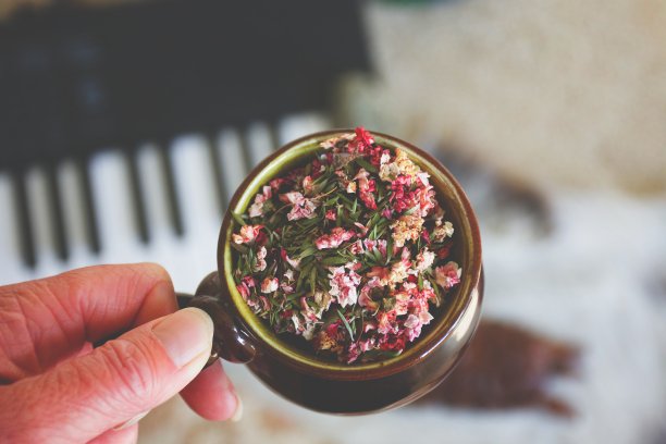 制作麦卢卡茶背景的干细粒植物花和叶子的陶器杯图片下载