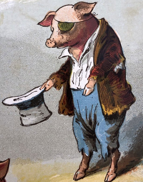 古董插图-鹅妈妈1887 -人性化猪举着大礼帽在他面前乞讨钱图片下载