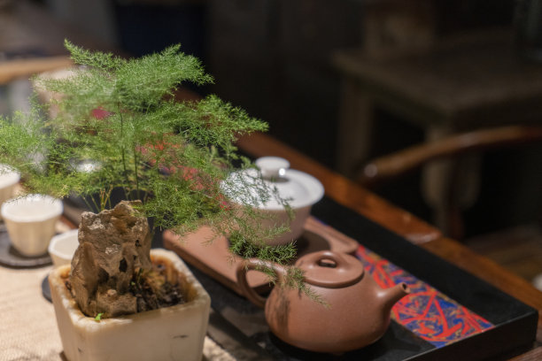 茶室桌面芦笋盆景和茶具图片下载