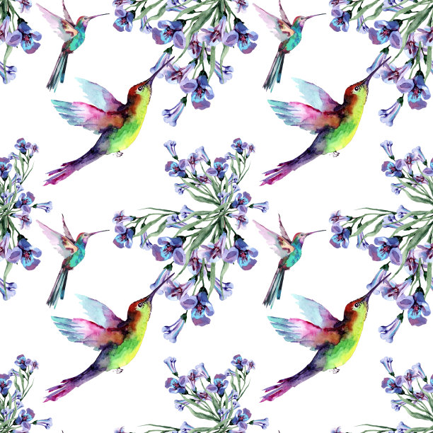 小小的热带蜂鸟和夏日里蓝色花朵的花束浑然一体。手绘水彩画在白色的背景。图片下载