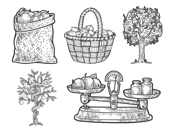 苹果水果集线素描图片下载