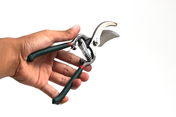 园艺:剪枝剪枝图片图片下载