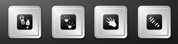 设置人类脚印鞋子青蛙爪子鳄鱼图片下载