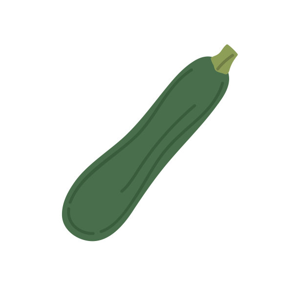 绿西葫芦蔬菜新鲜整西葫芦图片下载