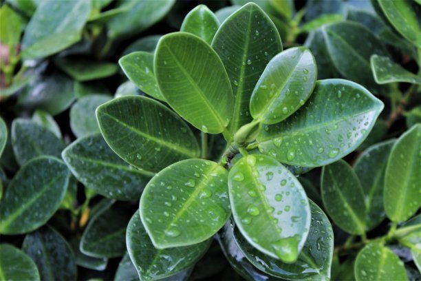 大自然的万花筒图片下载