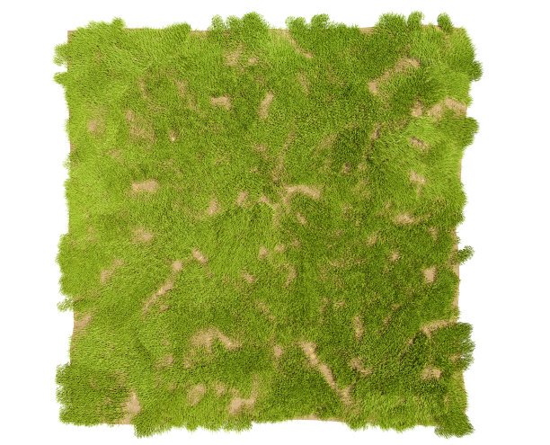 孤立的草在白色的背景，3d插图。背景草纹理，3d渲染。绿色的草坪。,前视图。图片下载