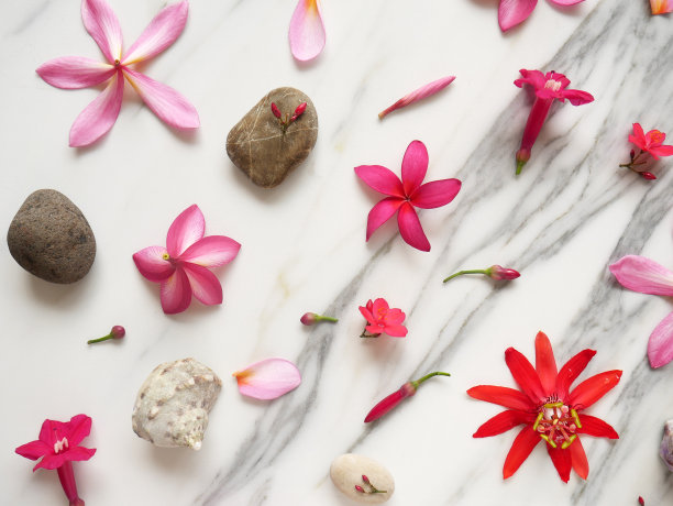 横幅或墙纸上有spa花，禅意石，贝壳孤立在白色大理石上。图片下载