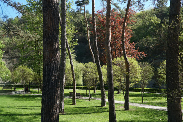春天美丽的基斯洛沃茨克公园图片下载