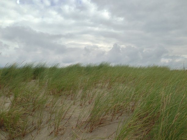 波罗的海Warnemünde附近的罗斯托克沙丘图片下载