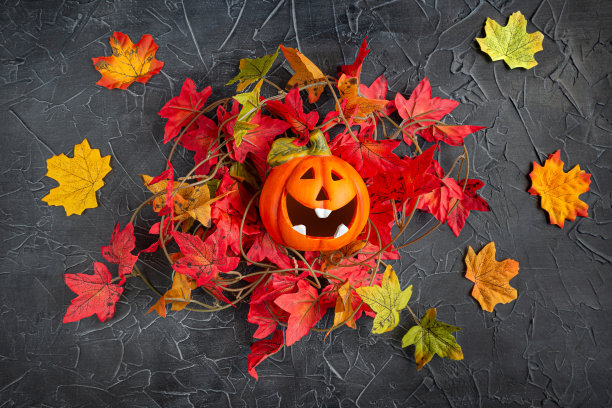 万圣节前夕，黑色背景下一窝枫叶里笑着的南瓜。图片下载