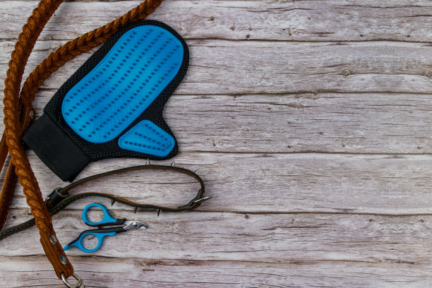 木制背景上的狗配件。蓝色橡胶美容手套，爪剪，棕色皮革皮带和尖刺项圈的狗在木制背景。俯视图，复制空间。宠物护理的概念图片下载