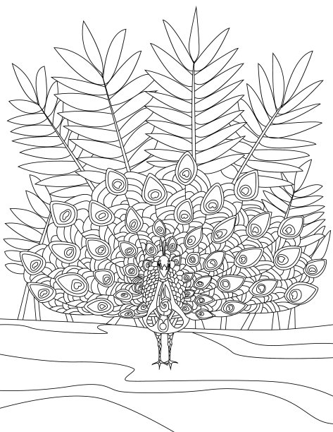 热带鸟类在树上涂鸦手绘图片下载