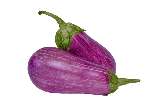 白色背景上的两个茄子涂鸦图片下载