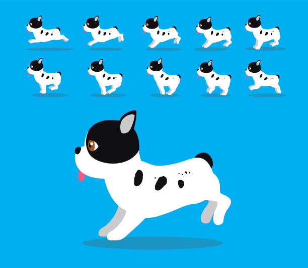 动物动画序列狗波士顿梗卡通矢量外套1图片下载