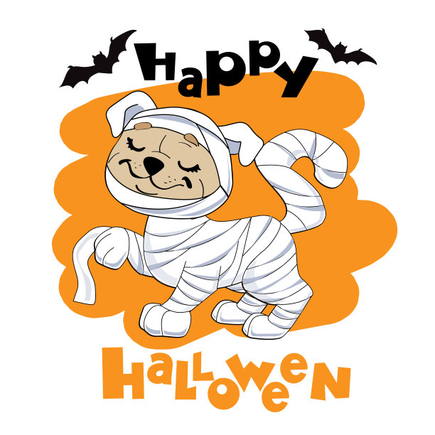 万圣节卡片，哈巴狗穿着木乃伊服装。矢量插图的卡通动物。不给糖就捣蛋的概念图片下载