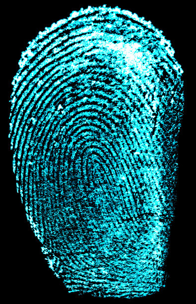 指纹生物识别认证。黑色背景上的指纹。指纹与紫外线灯。图片下载