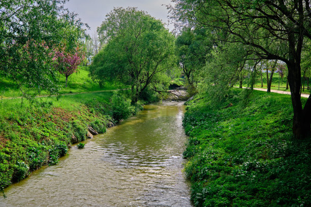 布尔萨的自然公园，绿草如茵图片下载