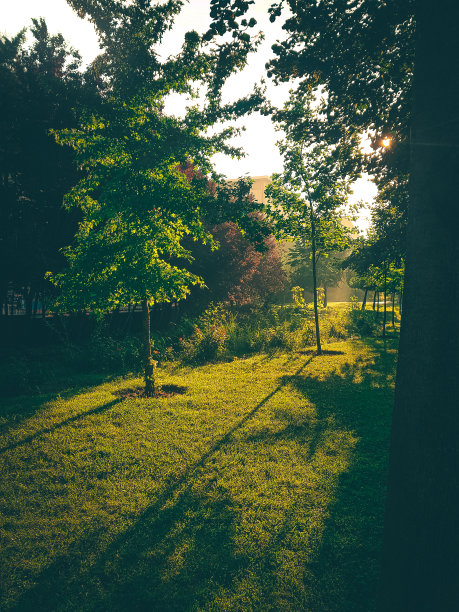 日落公园图片下载