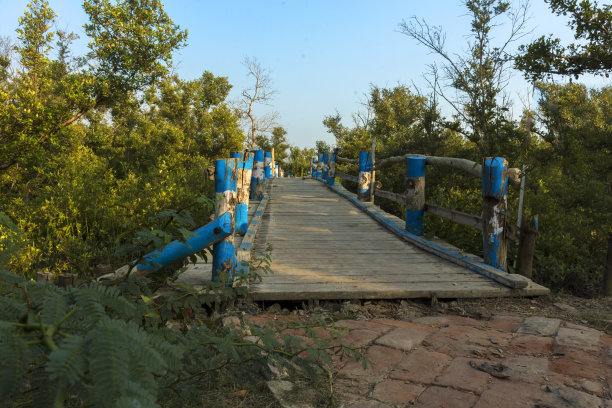 印度帕尔加纳24号Bakkhali附近的“亨利岛”入口处的竹桥。图片下载