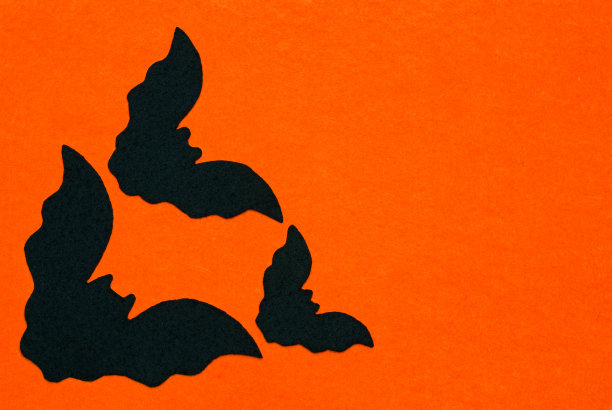 毛毡背景上的毛毡蝙蝠图片下载