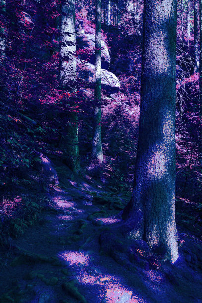 自然超现实森林植物抽象概念背景图片下载