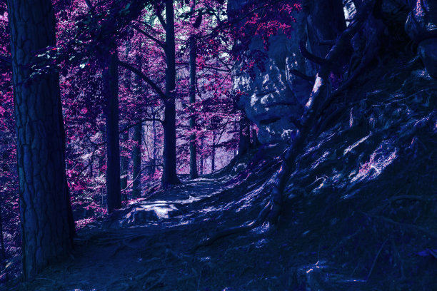 自然超现实森林植物抽象概念背景图片下载