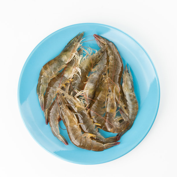 一盘白底虾图片下载