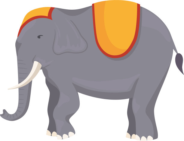 泰国大象的动物图片下载